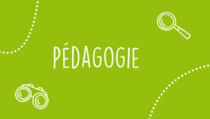 🎯 Focus sur notre pédagogie : rendre l’enfant et le jeune acteur de ses apprentissages