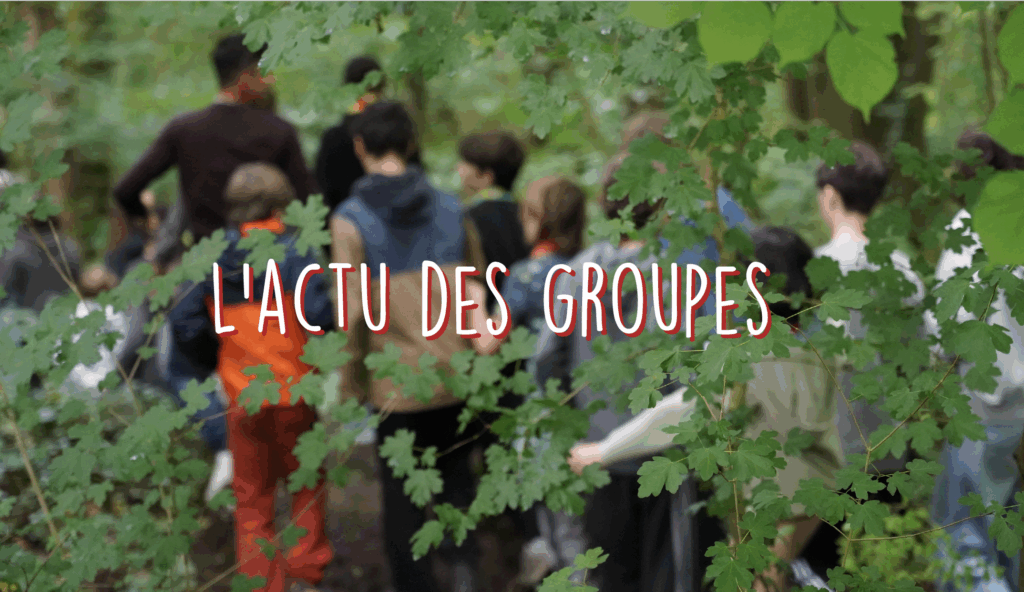 Présentation des activités des SLA 2025